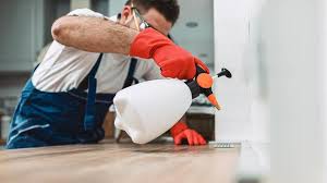 Professional Pest Control in South Whittier, CA